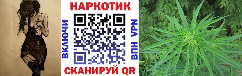 Магазины продажи наркотиков Буй Альфа ПВП  Гашиш  Бутират  Бошки Шишки 